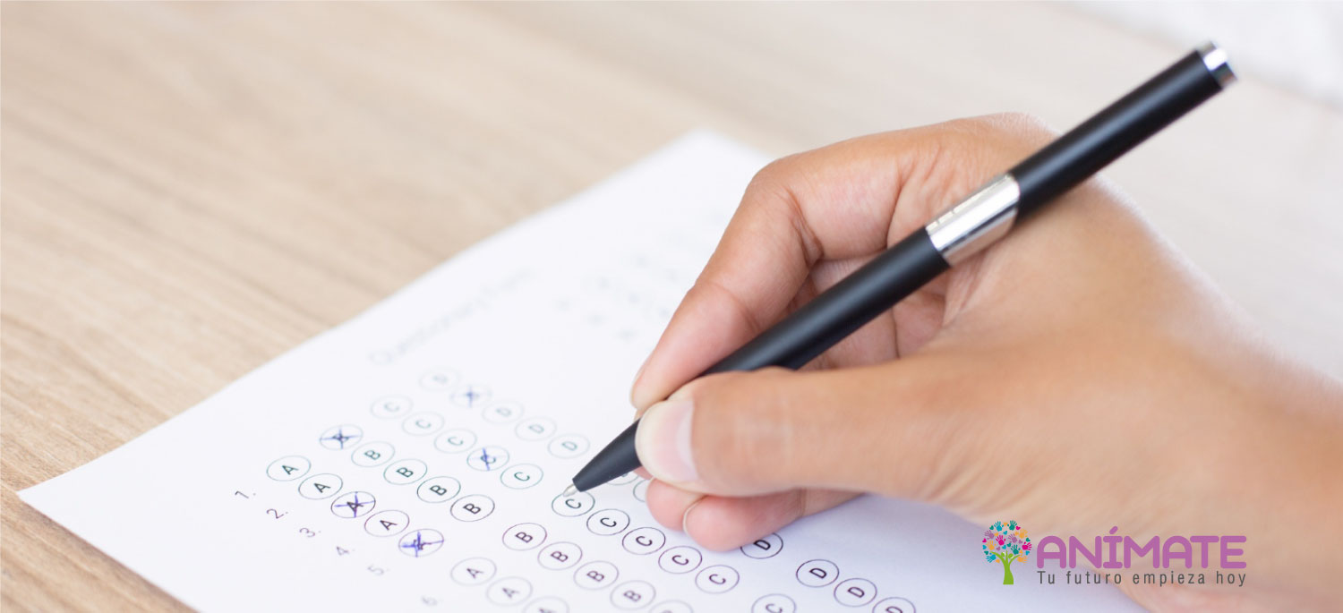 ¿Qué es el test vocacional? Tipos, objetivos y cómo ayudar a tu hijo a elegir su carrera